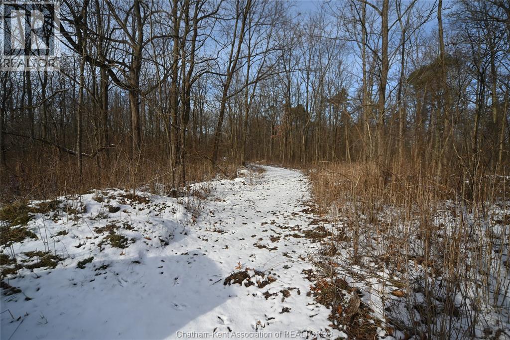 15895 Longwoods ROAD - 36