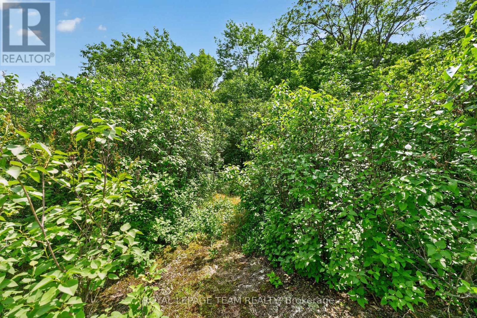 Land for Sale in Ottawa – 1391 HUNTMAR DRIVE, Ottawa – MLS# X13447094 - Image 14