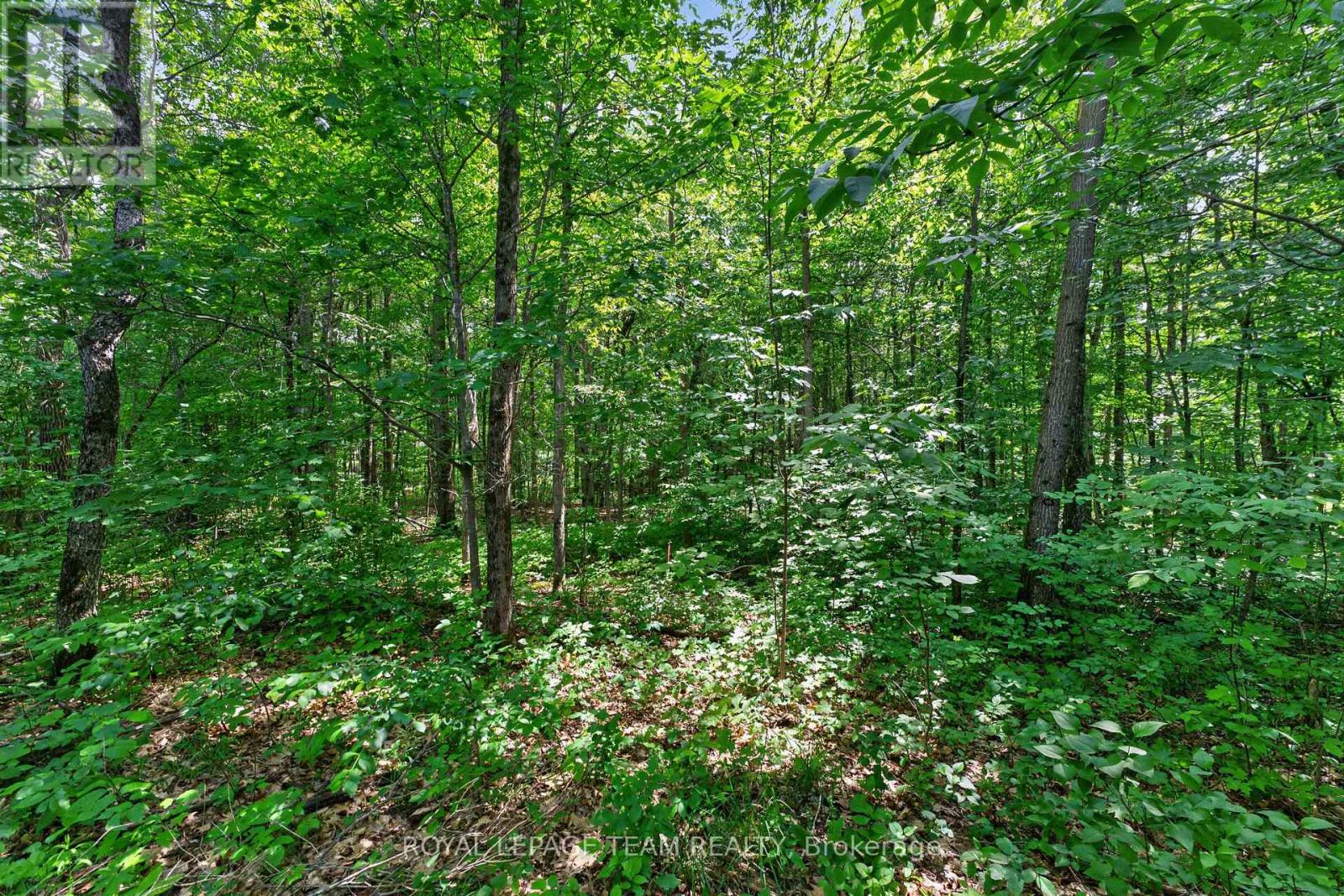 Land for Sale in Ottawa – 1391 HUNTMAR DRIVE, Ottawa – MLS# X13447094 - Image 15