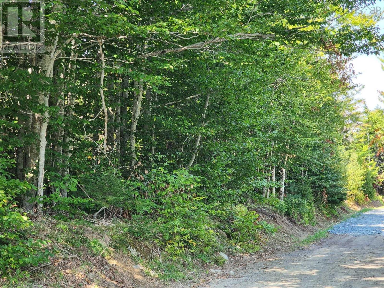 875 Beech Hill Road - 17