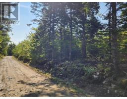 875 Beech Hill Road, Beech Hill Farms, NS B0T1G0 Photo 14