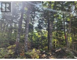 875 Beech Hill Road, Beech Hill Farms, NS B0T1G0 Photo 13