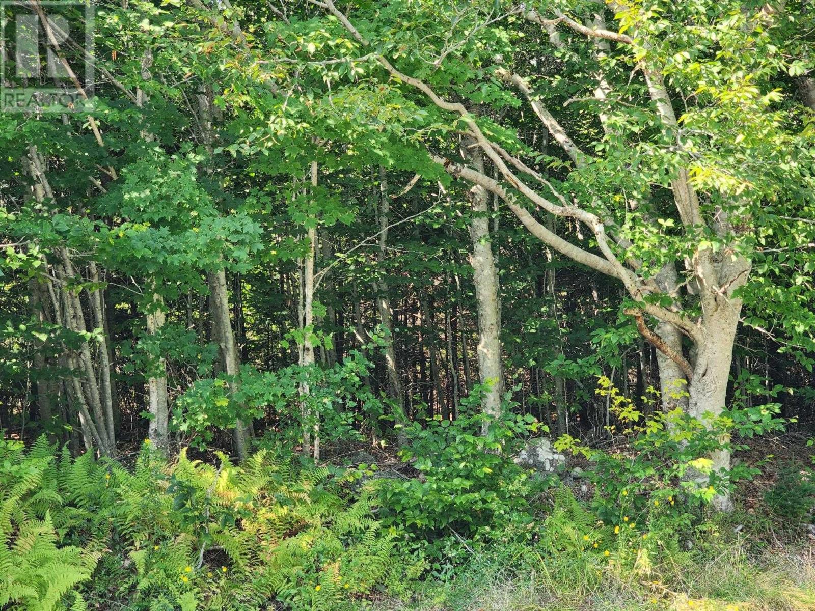 875 Beech Hill Road - 18
