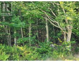 875 Beech Hill Road, Beech Hill Farms, NS B0T1G0 Photo 18