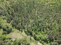 0 81e Road, Sprague, MB R0A1Z0 Photo 11