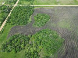 32081 35n Road N, Hanover Rm, MB R5G2R2 Photo 6