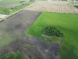 32081 35n Road N, Hanover Rm, MB R5G2R2 Photo 7