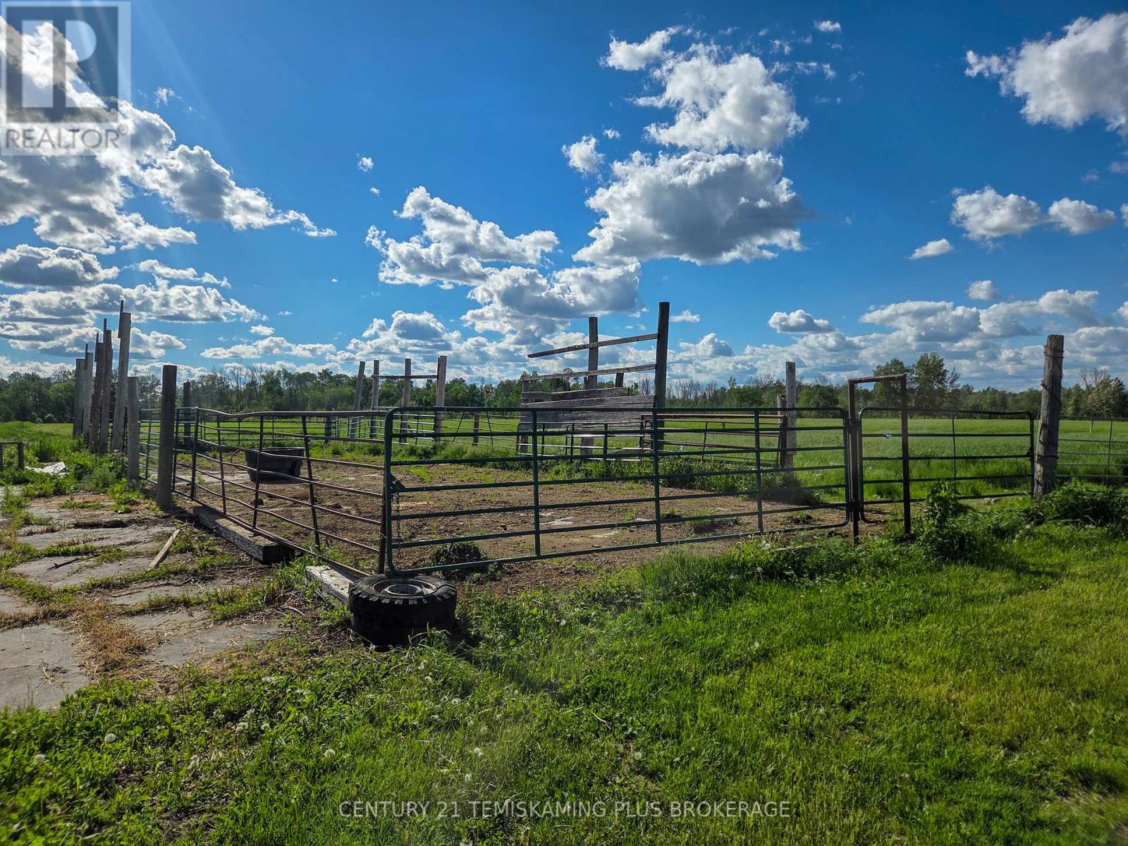 84335 EDWARDS ROAD - 31