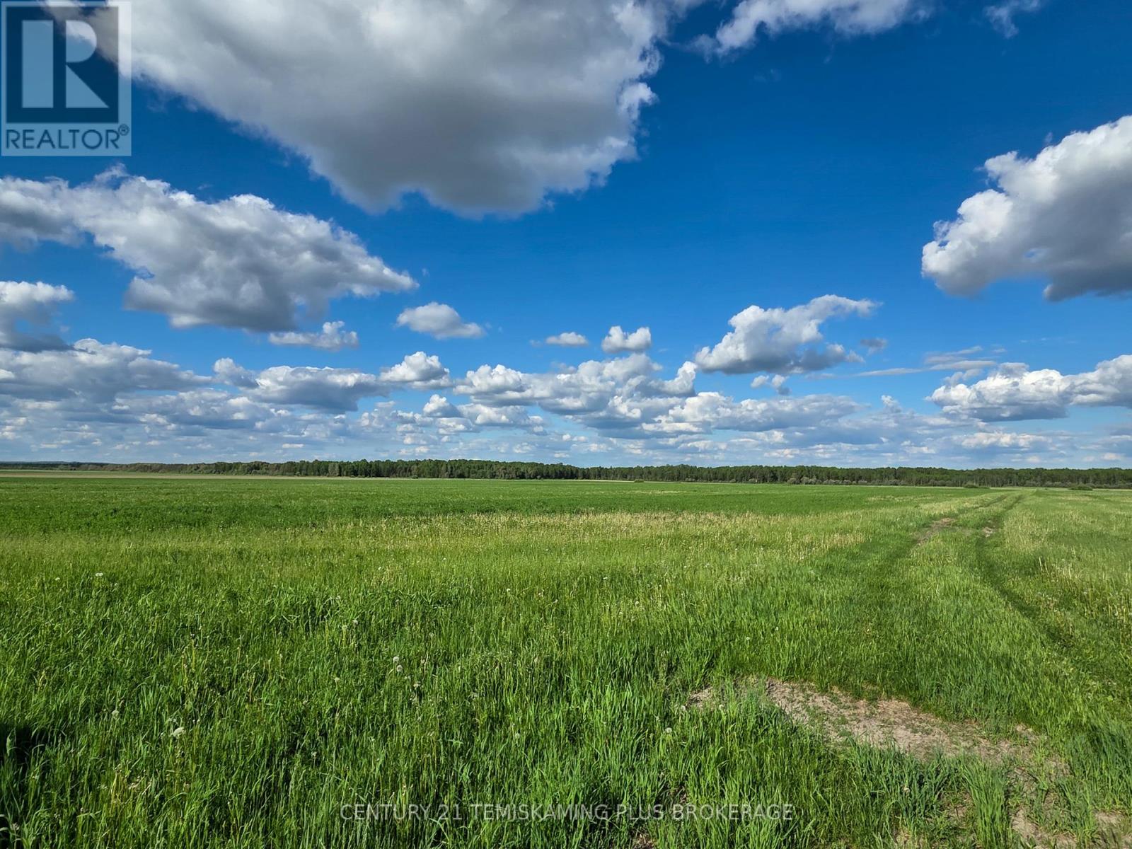 84335 EDWARDS ROAD - 41