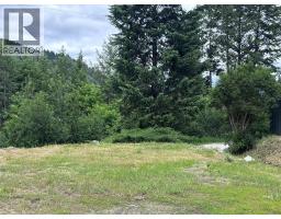 456 Long Lake Avenue, Greenwood, BC V0H1J0 Photo 32