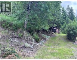 456 Long Lake Avenue, Greenwood, BC V0H1J0 Photo 34