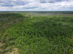0 18n Road, Piney Rm, MB R0A2J0 Photo 11