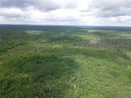 0 18n Road, Piney Rm, MB R0A2J0 Photo 12