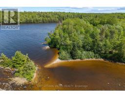 107 Harvey Creek Road, Head, Clara And Maria, ON K0J2B0 Photo 48
