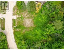 133 Birch View Trail, Blue Mountains, ON L9Y0M1 Photo 6