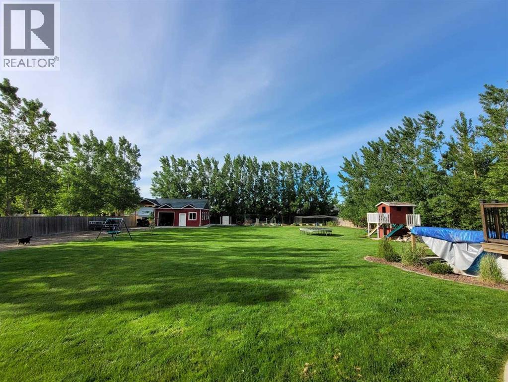 Back yard