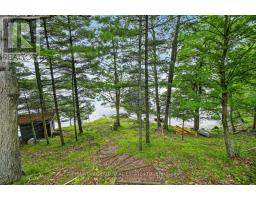 8 Birch Island, Rideau Lakes, ON K0G1E0 Photo 36