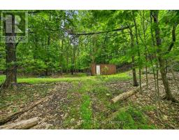8 Birch Island, Rideau Lakes, ON K0G1E0 Photo 37