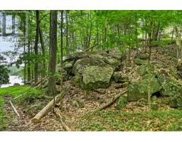 8 Birch Island, Rideau Lakes, ON K0G1E0 Photo 39