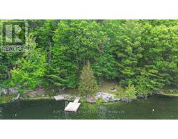 8 Birch Island, Rideau Lakes, ON K0G1E0 Photo 41