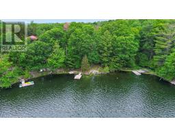8 Birch Island, Rideau Lakes, ON K0G1E0 Photo 42