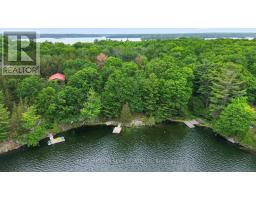 8 Birch Island, Rideau Lakes, ON K0G1E0 Photo 44