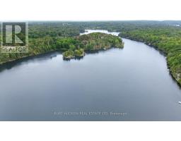 8 Birch Island, Rideau Lakes, ON K0G1E0 Photo 48