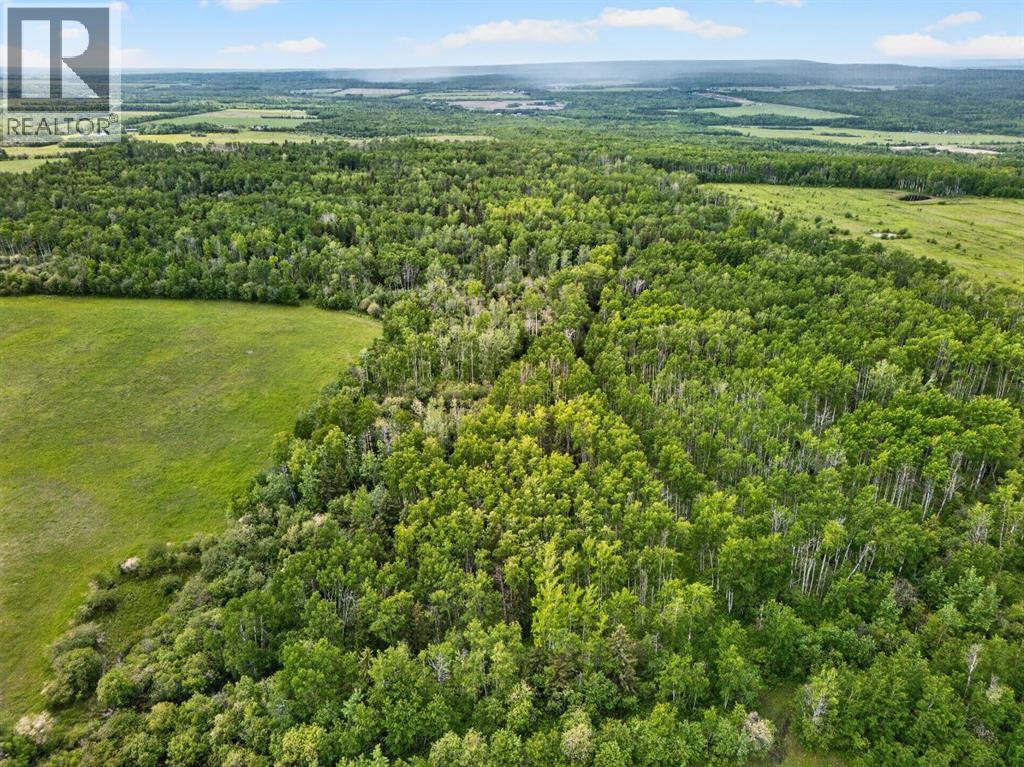 45016 Township Road 744A - 10
