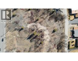 Lot B Old Waneta Road, Trail, BC V1R2B1 Photo 19