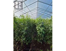 110 Aileen Avenue, King, ON L3Y4V9 Photo 11