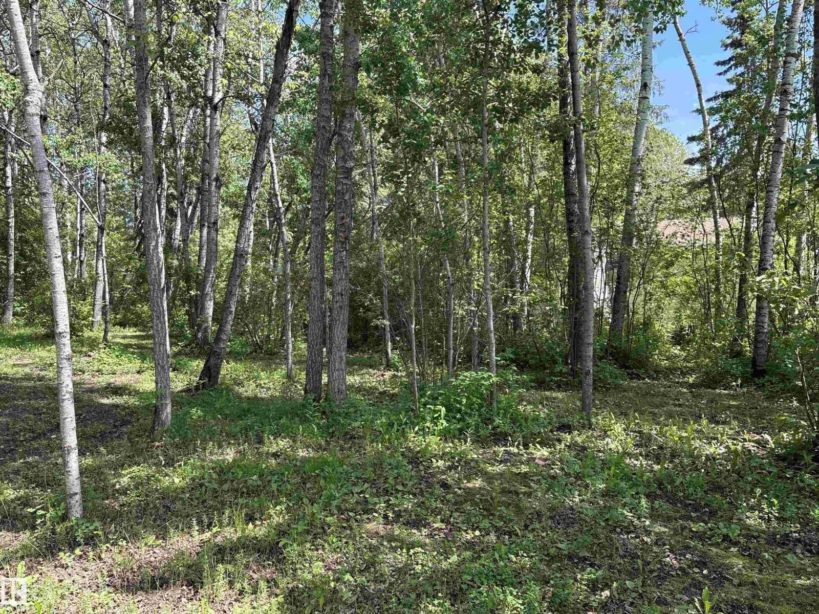 358 59536 Range Road 132A - 33