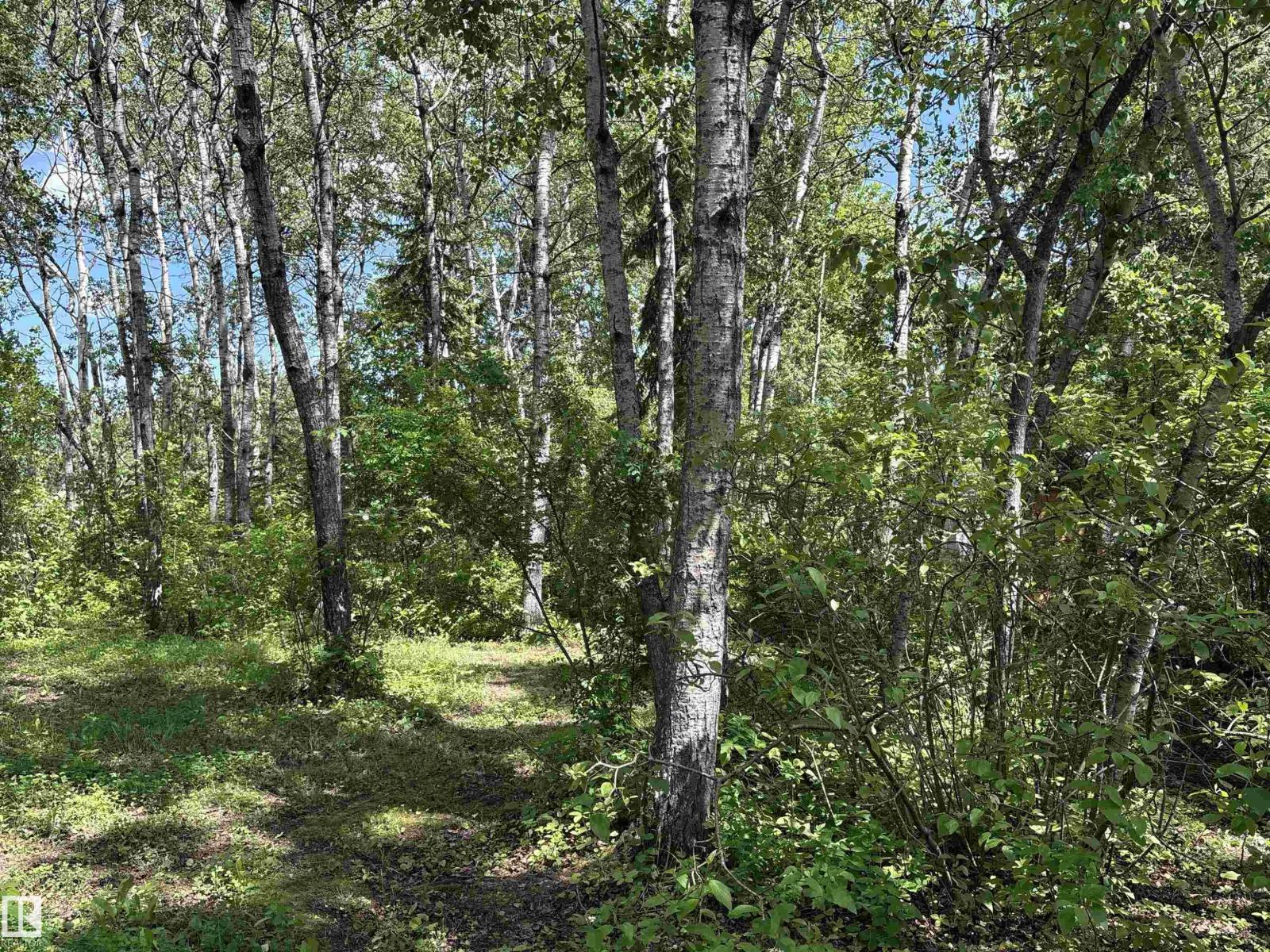 358 59536 Range Road 132A - 35
