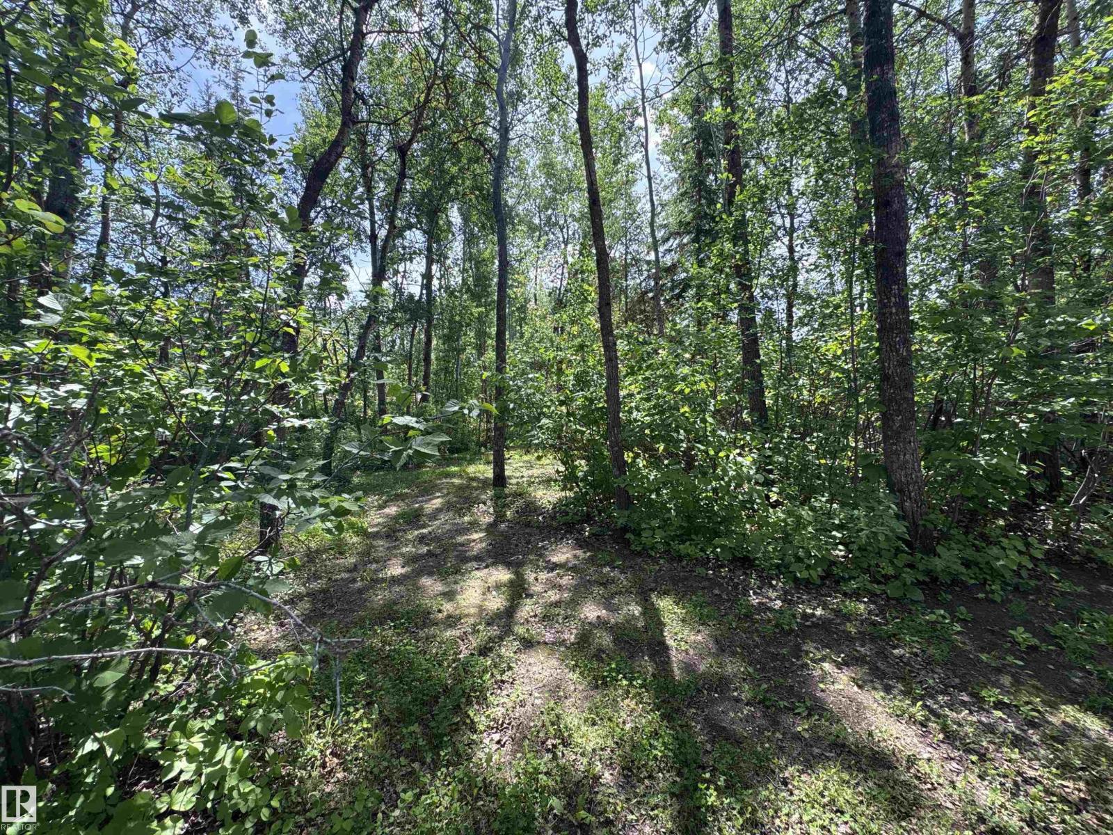 358 59536 Range Road 132A - 37