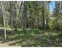 358 59536 Range Road 132a, Rural Smoky Lake County, AB T0A3L0 Photo 33