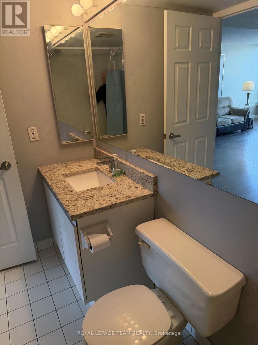 #102 550 CAMBRIDGE STREET S - 15