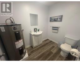 29 Harbourview Drive, Stoneville, NL A0G4C0 Photo 32