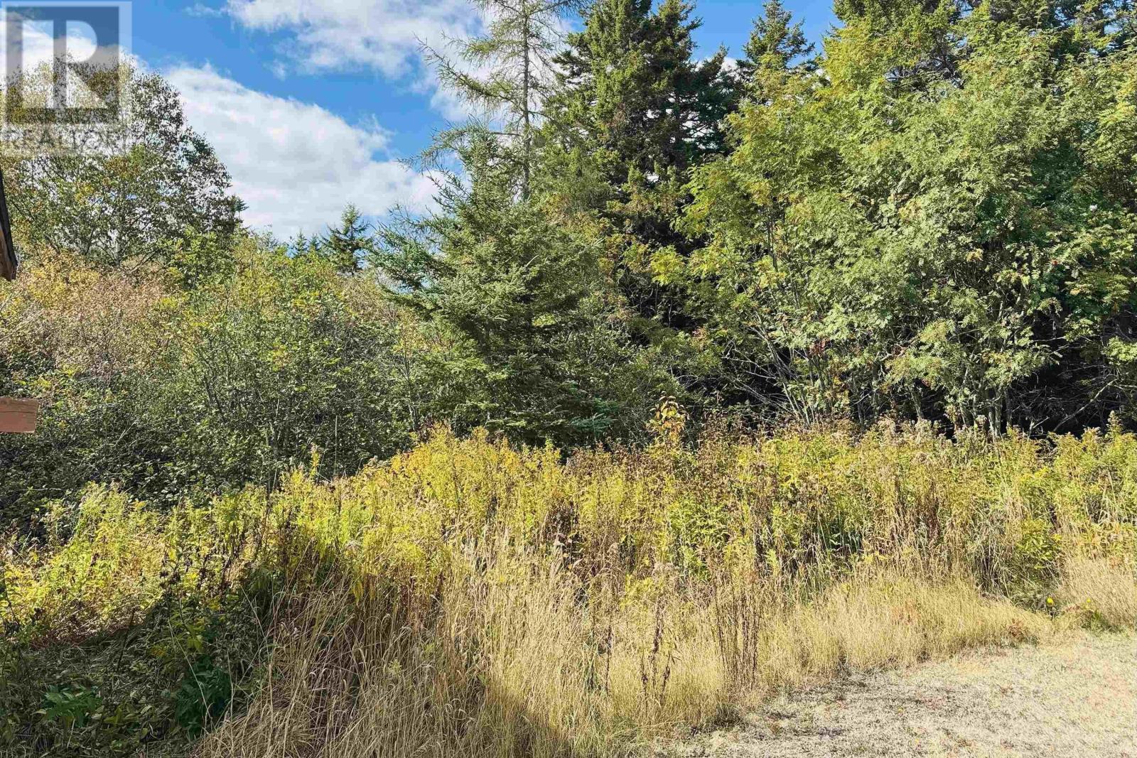 234 Lambs Hill Road - 6