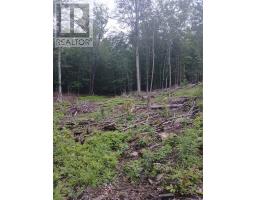 1005 Porkys Road, Minden Hills, ON K0M2K0 Photo 13