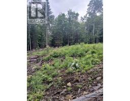 1005 Porkys Road, Minden Hills, ON K0M2K0 Photo 15