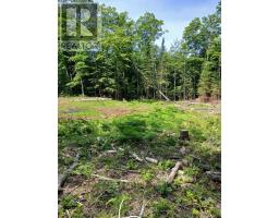 1005 Porkys Road, Minden Hills, ON K0M2K0 Photo 6