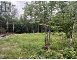 1005 Porkys Road, Minden Hills, ON K0M2K0 Photo 14