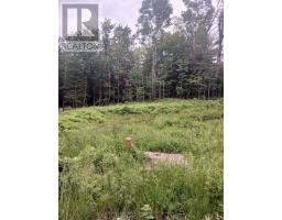 1005 Porkys Road, Minden Hills, ON K0M2K0 Photo 16