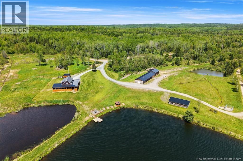 709 Tay Falls Road - Image 6