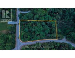 0 Lakeland Avenue Sw, Trent Lakes, ON K0L1J0 Photo 12