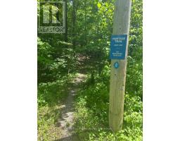 0 Lakeland Avenue Sw, Trent Lakes, ON K0L1J0 Photo 7