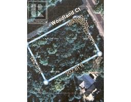 0 Lakeland Avenue Sw, Trent Lakes, ON K0L1J0 Photo 6