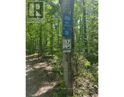 0 Lakeland Avenue Sw, Trent Lakes, ON K0L1J0 Photo 8