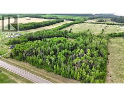 Laundry room - 55502 Range Road 152, Rural Yellowhead County, AB T7E3R7 Photo 6