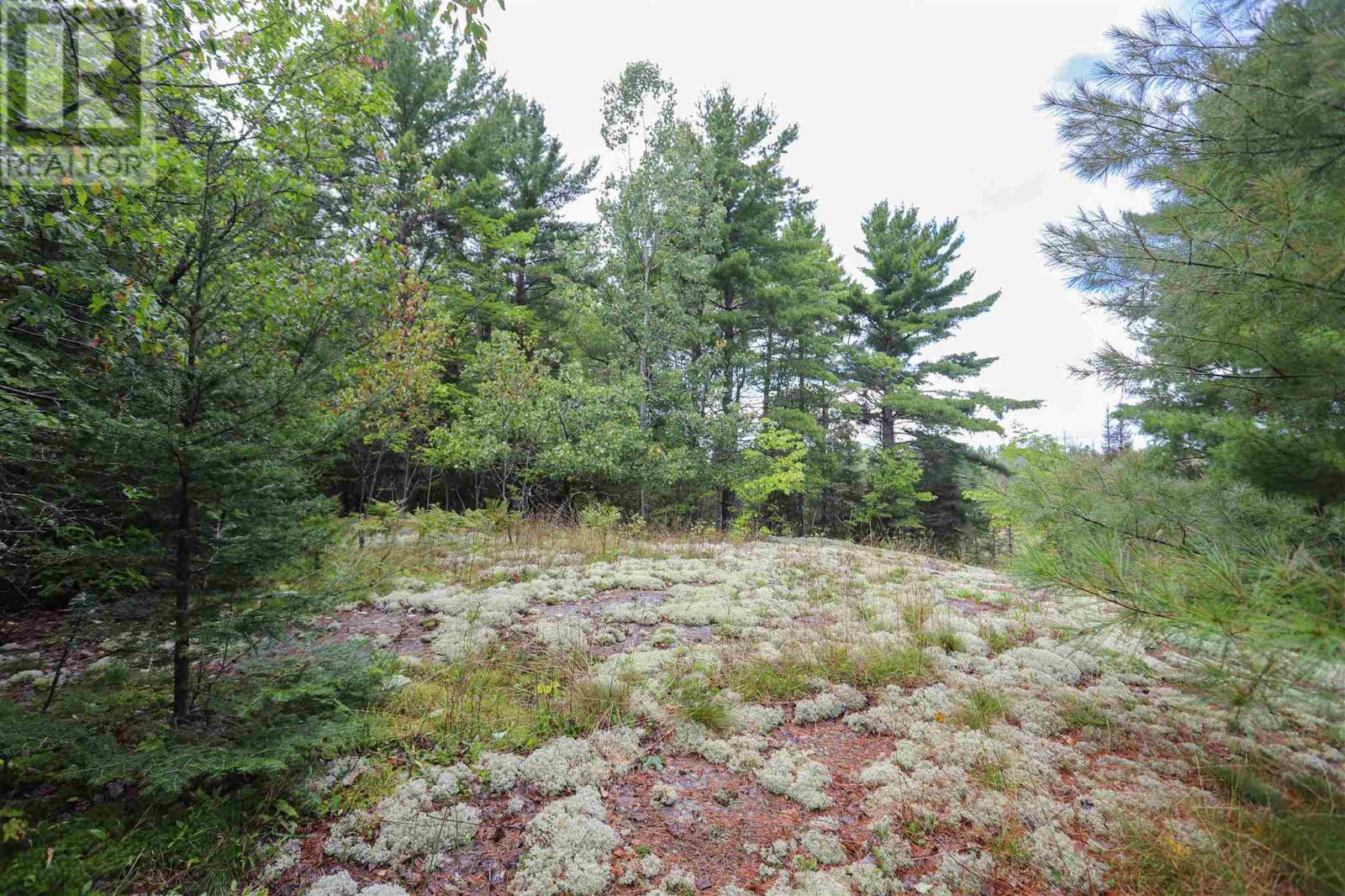 Area of Feltham Rd/Huron Shores - 22