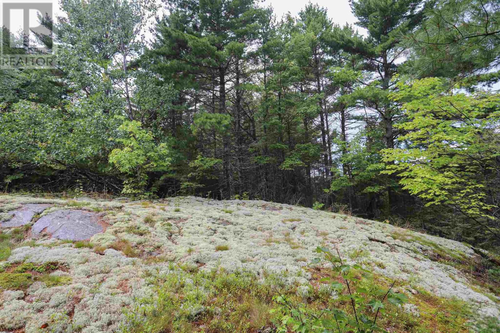 Area of Feltham Rd/Huron Shores - 25